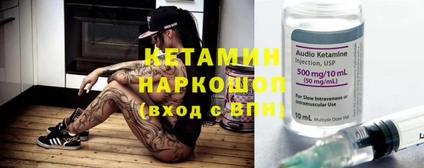 стаф Богданович