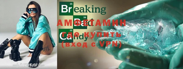 дживик Бронницы