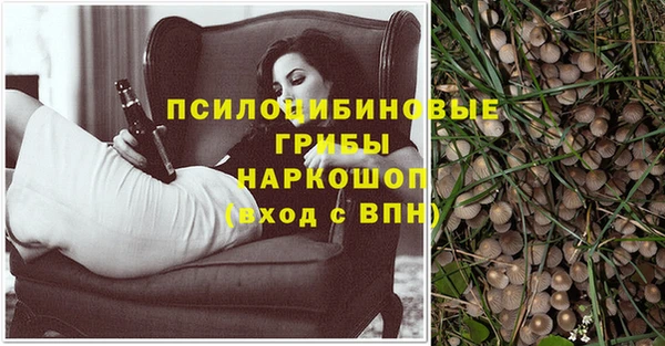 бутират Бородино