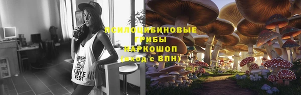 бутират Бородино