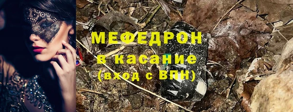 стаф Богданович
