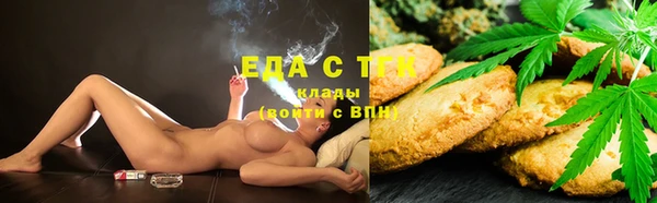 тгк Богородицк