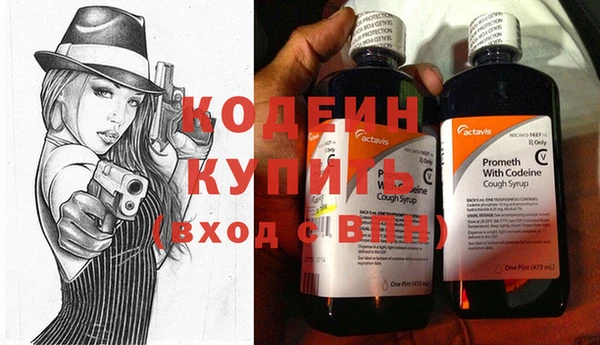 дживик Бронницы