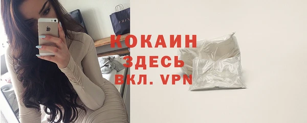 молекула духа Богородск