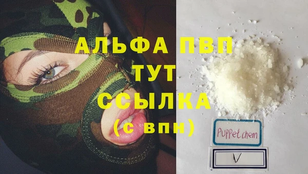 стаф Богданович