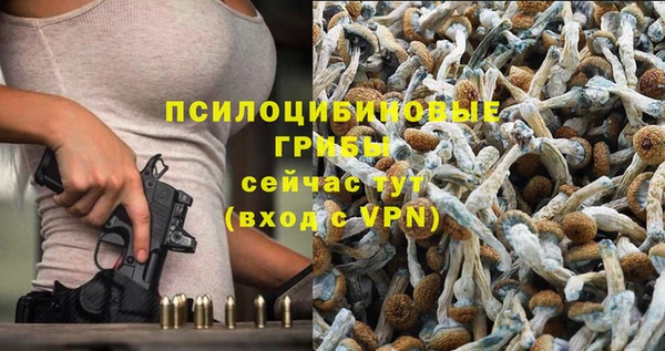 бутират Бородино
