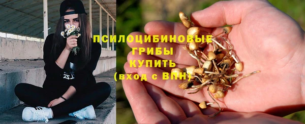 бутират Бородино