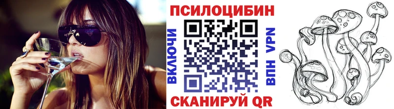 закладки Невель Псилоцибиновые грибы MAGIC MUSHROOMS